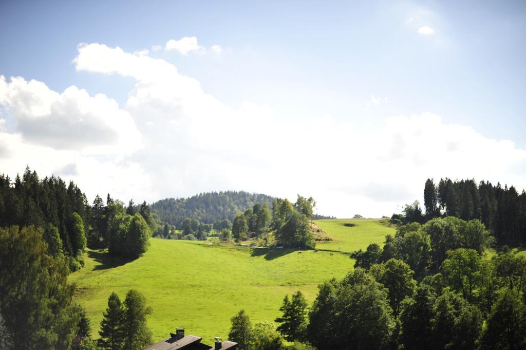 Ferien Residenz Bergfried 호텔 힌터짤텐 외부 사진